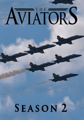Cover image for Aviation 101