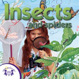 Cover image for Insects & Spiders