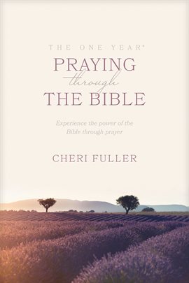 Cover image for The One Year Praying through the Bible