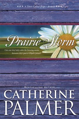 Cover image for Prairie Storm