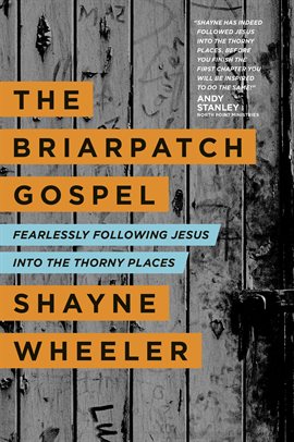 Cover image for The Briarpatch Gospel