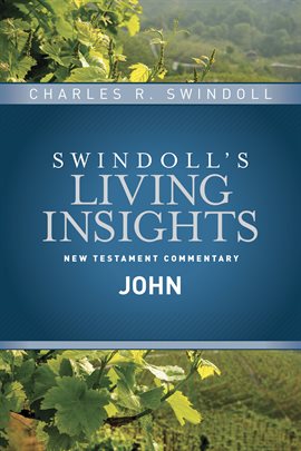 Cover image for Insights on John