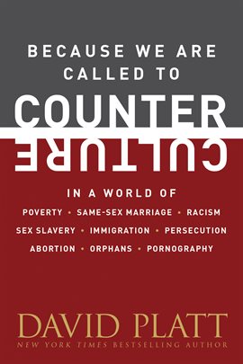 Cover image for Because We Are Called to Counter Culture