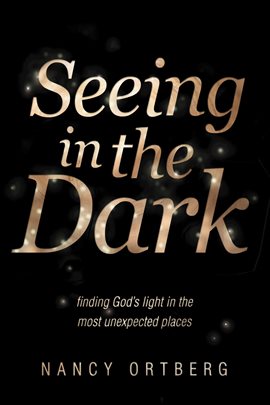 Cover image for Seeing in the Dark