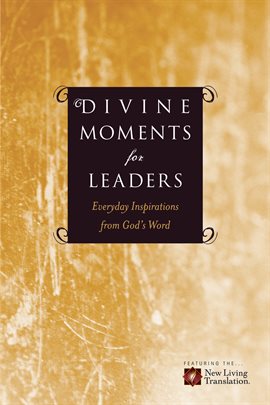 Cover image for Divine Moments for Leaders