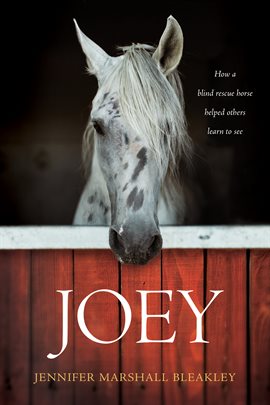 Cover image for Joey