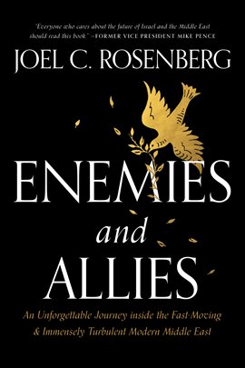 Imagen de portada para Enemies and Allies