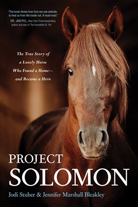 Cover image for Project Solomon