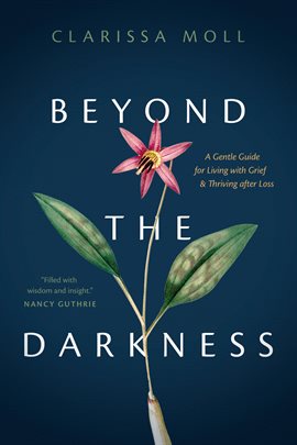 Cover image for Beyond the Darkness