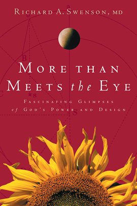 Cover image for More Than Meets the Eye