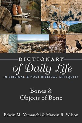 Cover image for Bones & Objects of Bone