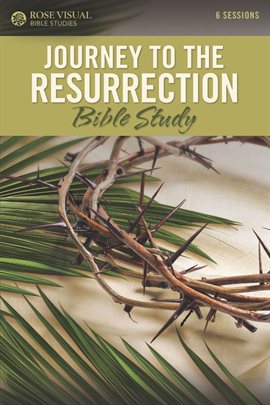 Cover image for Journey to the Resurrection