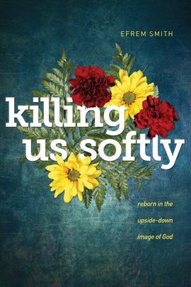 Cover image for Killing Us Softly
