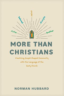 Cover image for More Than Christians
