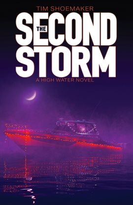 Cover image for The Second Storm