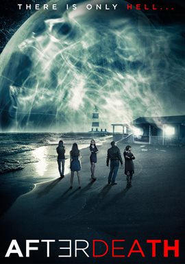 Cover image for Afterdeath