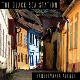 Imagen de portada para Transylvania Avenue