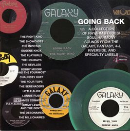 Cover image for Going Back: A Collection Of Rhythm & Blues