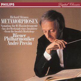 Cover image for Strauss, R.: Metamorphosen; Sonatina No.1 for Winds