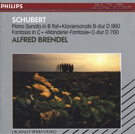 Cover image for Schubert: Piano Sonata in B flat; Fantasy in C
