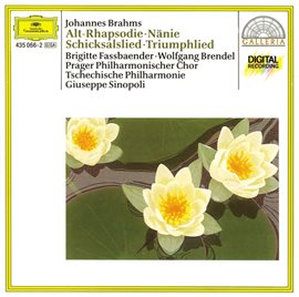 Cover image for Brahms: Altrhapsodie / Schicksalslied / Triumphlied