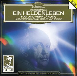 Cover image for Strauss, R.: Ein Heldenleben, Op.40; Tod und Verklärung