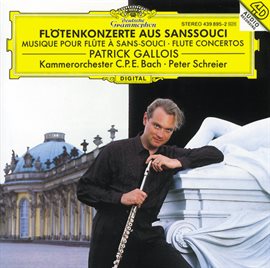 Imagen de portada para Flute Concertos