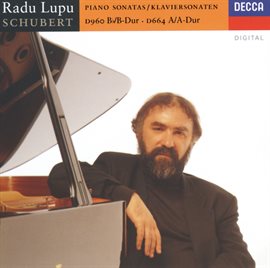 Imagen de portada para Schubert: Piano Sonatas Nos.13 & 21