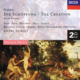 Cover image for Haydn: Salve Regina; Die Schöpfung