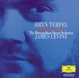 Cover image for Bryn Terfel - Opera Arias