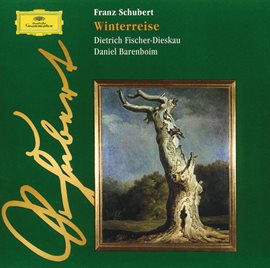 Cover image for Schubert: Winterreise D 911