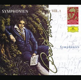 Cover image for Beethoven: The Symphonies