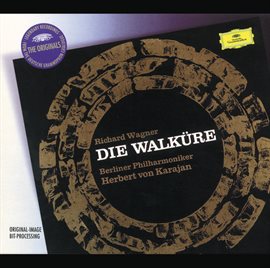 Cover image for Wagner: Die Walküre