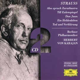 Cover image for R. Strauss: Zarathustra; Till; Don Juan; Heldenleben; Tod & Verklärung