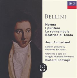 Cover image for Bellini: Collectors Edition (10 CDs) -