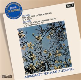 Cover image for Franck: Violin Sonata / Brahms: Horn Trio