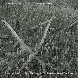 Cover image for El Encuentro