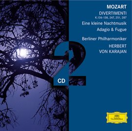 Cover image for Mozart: Divertimenti