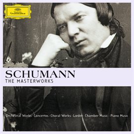 Cover image for Schumann - The Masterworks