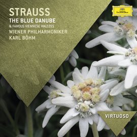 Cover image for Strauss, J.: The Blue Danube & Famous Viennese Waltzes