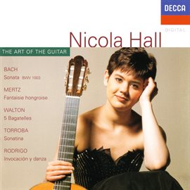 Imagen de portada para The Art Of The Guitar