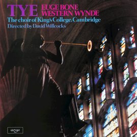Cover image for Tye Masses (Euge Bone & Western Wind)