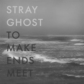 Cover image for To Make Ends Meet