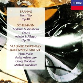 Cover image for Brahms: Horn Trio / Schumann: Andante & Variations; Adagio & Allegro