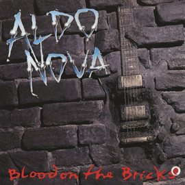 Cover image for Blood On The Bricks