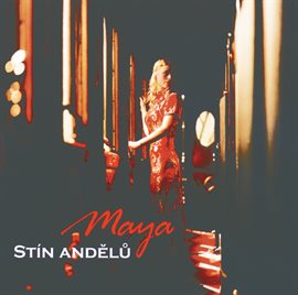 Cover image for Stin andelu