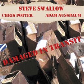 Cover image for Damaged In Transit