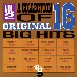 Cover image for A Collection Of 16 Original Big Hits Vol. 2