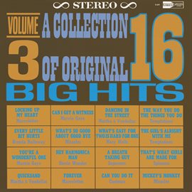 Cover image for A Collection Of 16 Original Big Hits Vol. 3