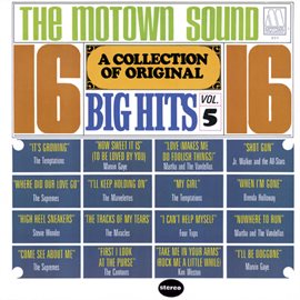 Cover image for A Collection Of 16 Original Big Hits Vol. 5
